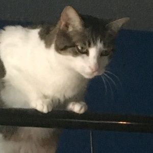 Meet your Posher, Austin